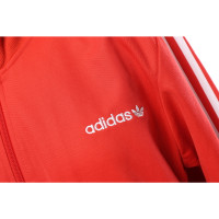 Adidas Jacke/Mantel