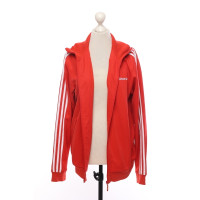 Adidas Jacket/Coat