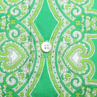 Etro Blouse in green / white
