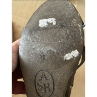 Ash Sandalen aus Leder in Khaki