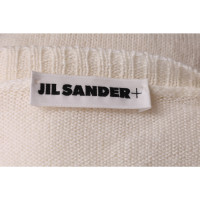 Jil Sander Knitwear Wool in Cream