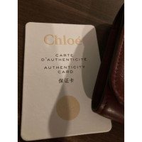 Chloé Bag/Purse Leather in Bordeaux