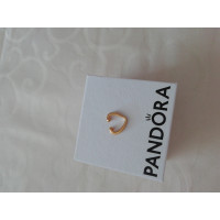 Pandora Earring Gilded in Gold