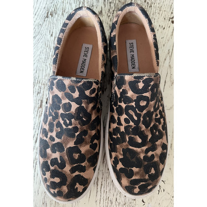 Steve Madden Sneakers Canvas