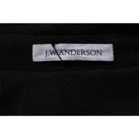 Jw Anderson Jas/Mantel in Zwart