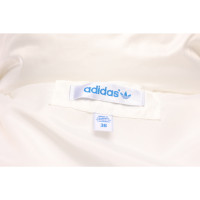 Adidas Vest in Wit