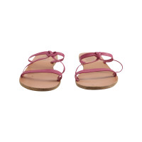 Ancient Greek Sandals Sandales en Cuir en Rose/pink