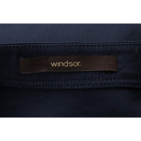 Windsor Bovenkleding in Blauw