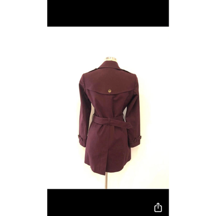 Burberry Giacca/Cappotto in Bordeaux