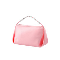 Alexander Wang Marquess Micro in Rosa / Pink