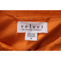 Velvet Oberteil aus Baumwolle in Orange