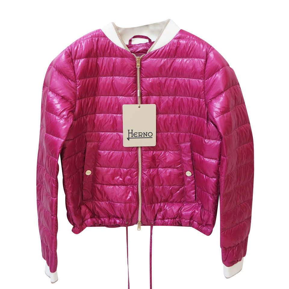 Herno Jacket/Coat in Fuchsia