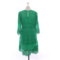 Marc Cain Dress Cotton in Green