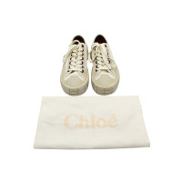 Chloé Sneakers in Wit
