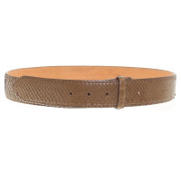 Reptile's House Set Belt