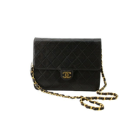 Chanel Wallet on Chain Leer in Bruin