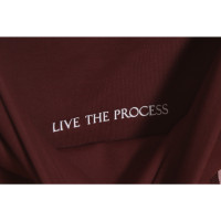 Live The Process Trousers