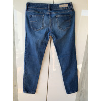 Mauro Grifoni Jeans Cotton in Blue