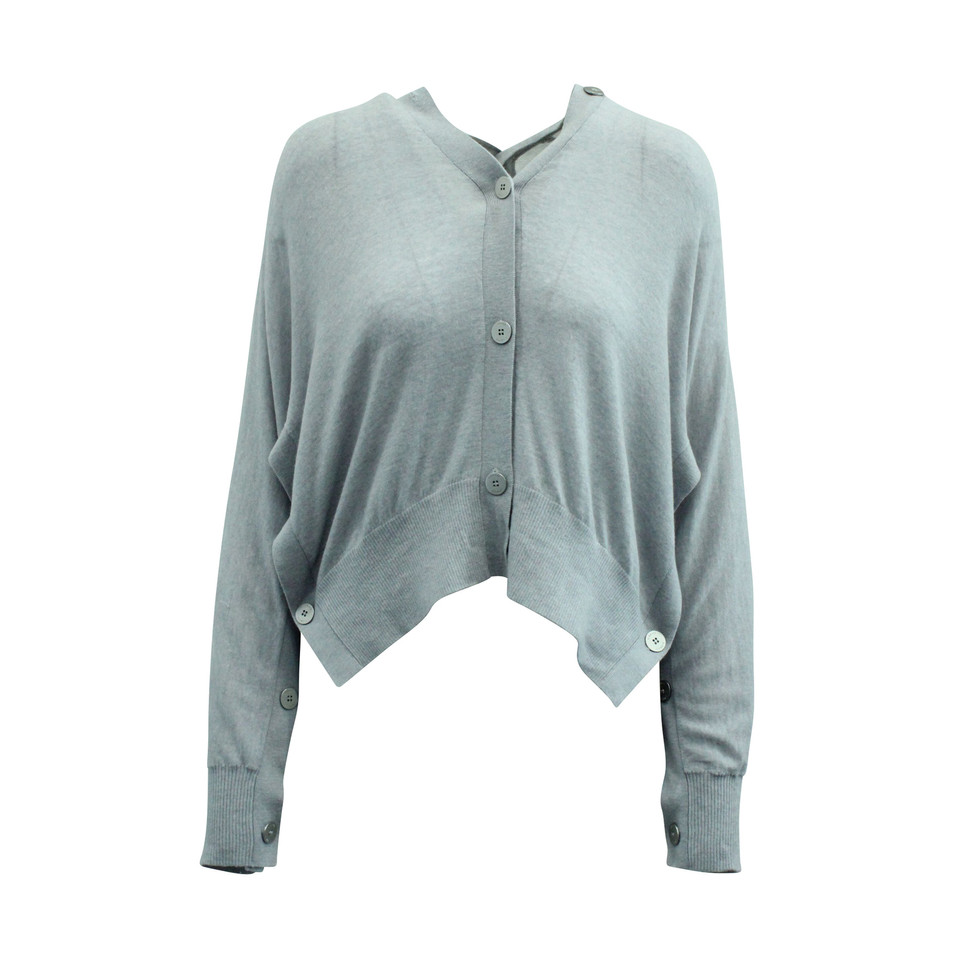 Dion Lee Blazer aus Wolle in Grau