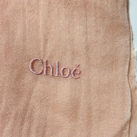 Chloé Scarf/Shawl Silk in Pink