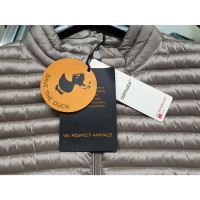 Save the Duck Giacca/Cappotto in Ocra