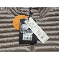 Save the Duck Jacket/Coat in Ochre