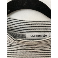 Lacoste Dress Cotton