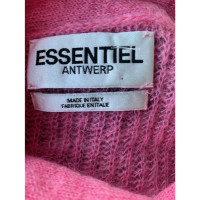 Essentiel Antwerp Strick aus Wolle in Rosa / Pink