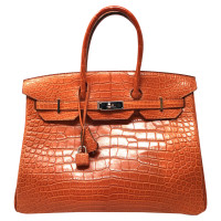 Hermès Birkin Bag 25 pelle di coccodrillo