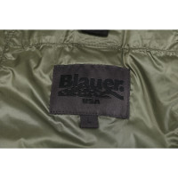 Blauer Usa Jacket/Coat in Olive