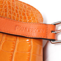 Jw Anderson Umhängetasche aus Leder in Orange