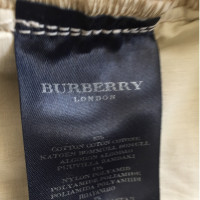 Burberry rots