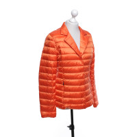 Max Mara Gewatteerde jas in Orange