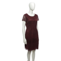 Hugo Boss Dress in Bordeaux