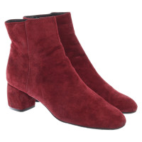 Agl Ankle boots Leather in Bordeaux