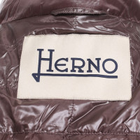 Herno  Steppjacke in Braun