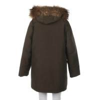 Woolrich Giacca/Cappotto in Cotone in Verde