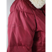 Coach Jacket/Coat in Bordeaux