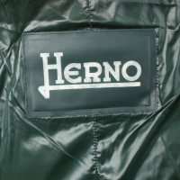 Herno Giacca/Cappotto in Verde