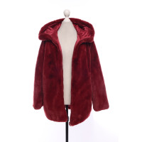 Save The Duck Jacket/Coat in Red