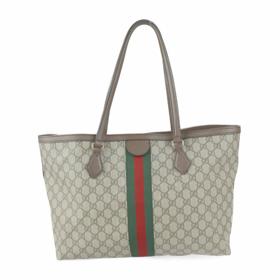 Gucci Ophidia in Pelle in Marrone