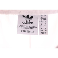 Adidas Hose in Weiß