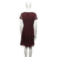 Hugo Boss Dress in Bordeaux