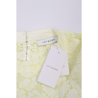 Ivy & Oak Dress Cotton in Yellow