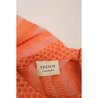 Cecilie Copenhagen Dress Cotton in Orange