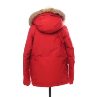 Woolrich Jacket/Coat in Red