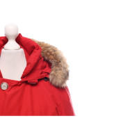 Woolrich Jacket/Coat in Red