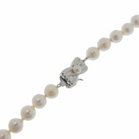 Tasaki Collana in Perle in Bianco