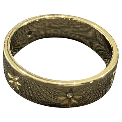 Fossil Ring Steel in Gold