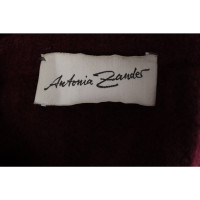 Antonia Zander Bovenkleding in Bordeaux